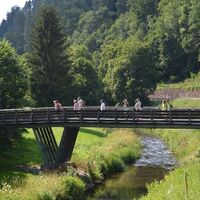 Naturpark-Augenblick-Runde Holzbronn_Bruecke ueber die Nagold