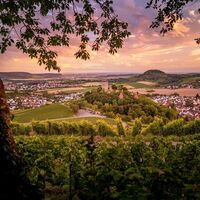 Blick vom Fohlenberg auf Burg Hohenbeilstein | HeilbronnerLand