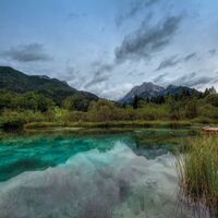 Zelenci