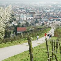 Tourismus Service Bergstrasse Burgensteig Kirchberg Ausblick TSB