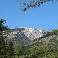 Rohrbachgraben -- Bodenwiese auf der Gahns