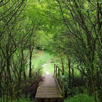 Brücke beim Damwildgehege im Wiesental bei Clausen