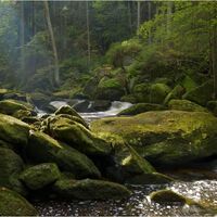 Bärentrail