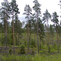 Katralammen Runde