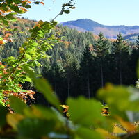 Ausblick aufs Elpetal