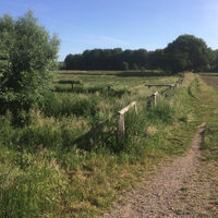 Niederkamp