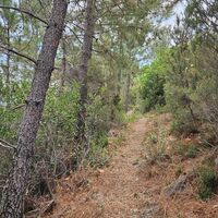 Weg beim Colle