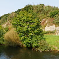 Schwiemelkopf an der Diemel