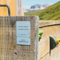 Sitzweg Buffaure Ciampac ©Archivio APT Val di Fassa