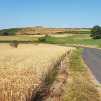 runde-13-016-Larzac-D142 _ mountnpass