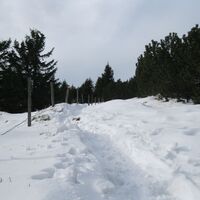 Hallerhaus - Niederwechsel - Hochwechsel