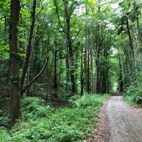 Wanderweg im Werretal