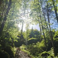 Srednja Dobrava - Otoče
