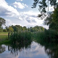 Renaturierung Bolldammbach