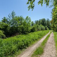Wanderweg.jpg