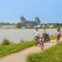 Der Rheinradweg bei Speyer