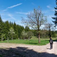 Wanderung zur Schlossbergkanzel bei Oberhof und Lütschetalsperre