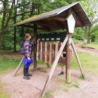Info-Punkt an der Weinstraße zur Holzbestimmung