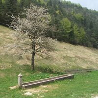 Fontana di Guil