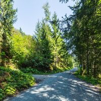 schwalbenwand runde_img_603097325