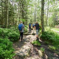 Ein steiniger Pfad führt uns zur Steinernen Sitzbank.