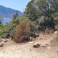Wanderweg um Enfola