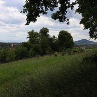 Auf dem Kapellenberg mit Blick auf die Landeskrone