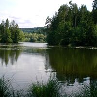 Moosburger Teiche