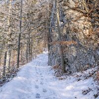 Felsen beim Schacherkogel