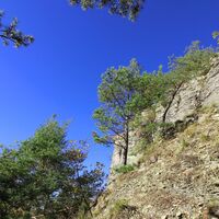 Blick von der Tannhäuserhöhle auf die darüber befindliche Felsenkante des Hörselberges