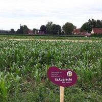 St. Ruprecht an der Raab_Oststeiermark
