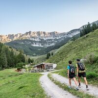 Scheffau_Wegscheid-Niederalm_Wilder Kaiser