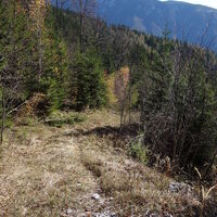 Aufstieg Richtung Handlesberg