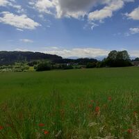 Hoher Gallin Weg