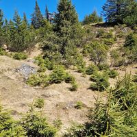 Gleiche Stelle Blick zurück, kleine Hochfläche und schönes Idyll