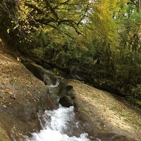 L'Arvière