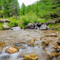 Wanderweg Waldheimhütte in Richtung Wildsee und Zirbitzkogel - Seetaler Alpen