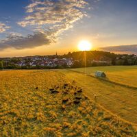 Blick von den Bornfeldwiesen auf Leimen/Pfalz