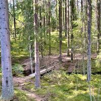 Natur entlang der Route