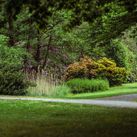 Walter Peters Park
