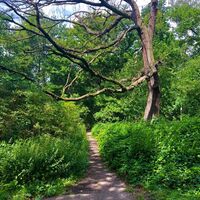 Wanderweg am Entenfang
