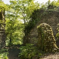 Abstecher: Ruine Weisswasserstelz