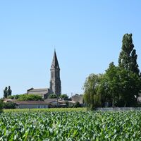 Boucle de l'Estuaire@medoc-atlantique-tourisme_0180