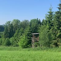 Jägerstand auf der Lichtung kurz vor Guggenberg