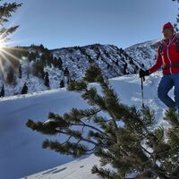 Winterlandschaft Scheibelalm