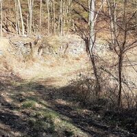 Abstieg Richtung Schreiberberg