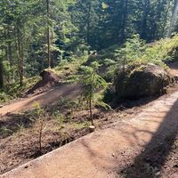 Schweinestberg Trail II_5.jpg