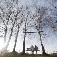 Wintersonne genießen und am Wein-Erlebnis-Weg wandern. 