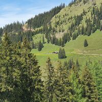 Trail zw. Karsegg- und Unterwandalm
