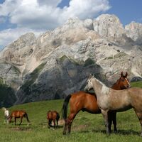 Passo San Nicolò - Pozza ©Archivio APT Val di Fassa
